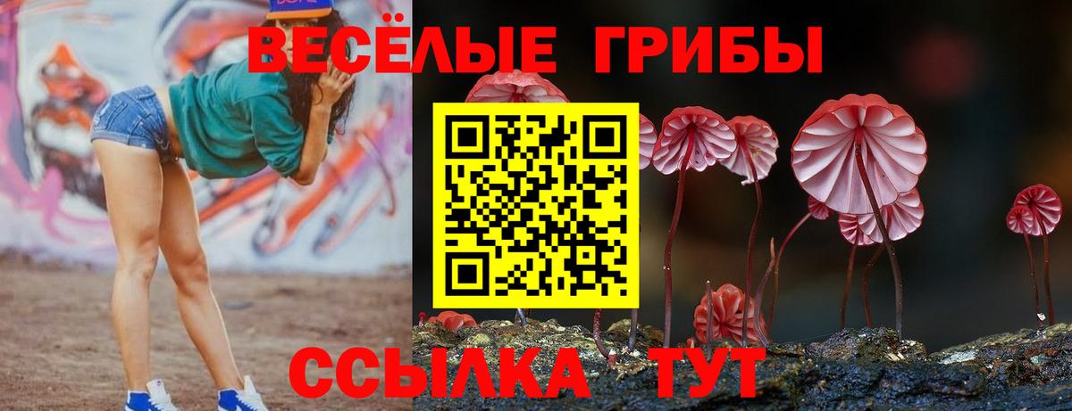 Галлюциногенные грибы ЛСД Артёмовский